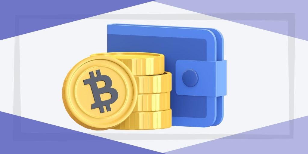 Understanding Bitcoin Wallets And Their Types | SBID