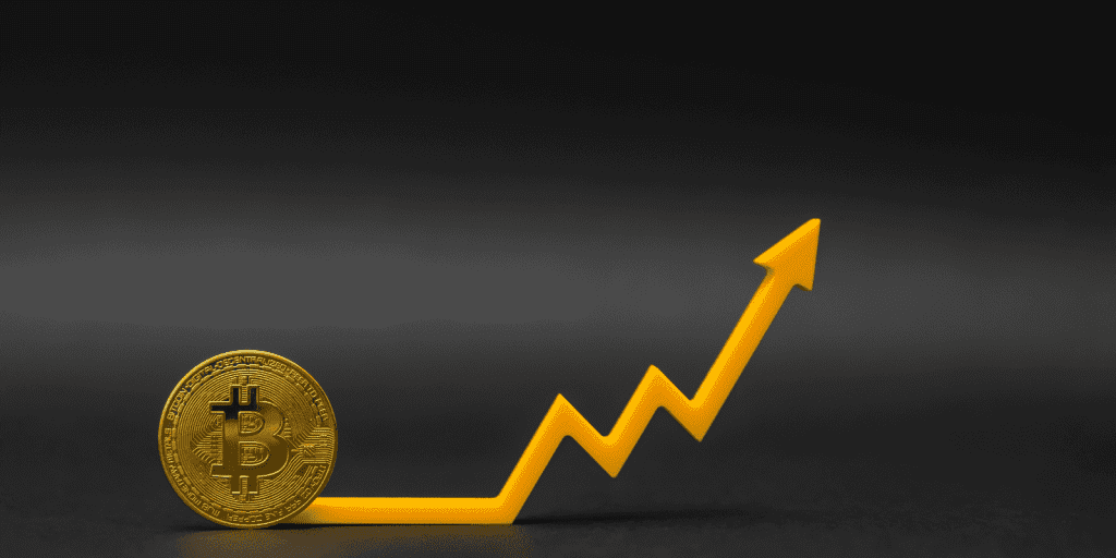 Bitcoin Volatility
