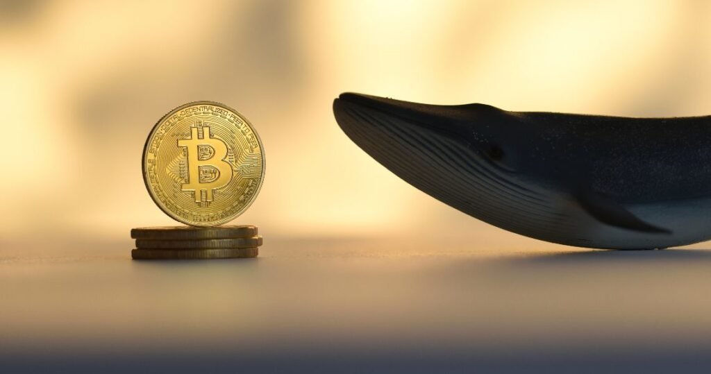 Bitcoin whale